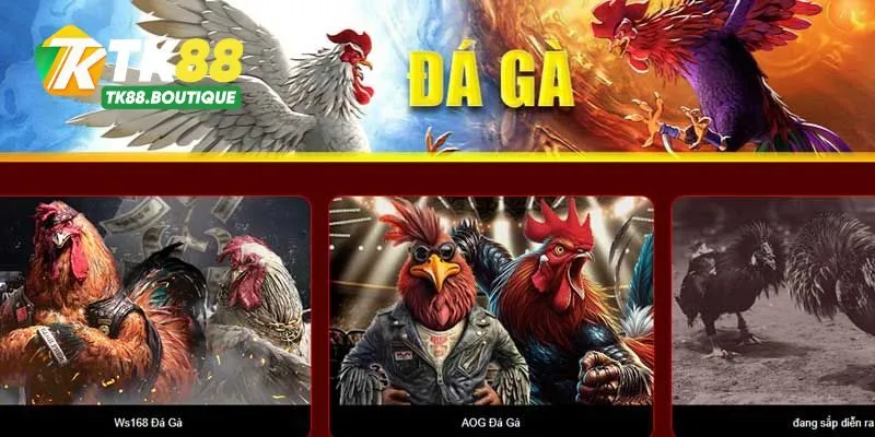 Các bước tải game đá gà tại nhà cái TK88