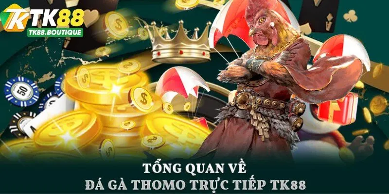 Đá Gà TK88: Sân Chơi Hấp Dẫn Kiếm Tiền Thưởng 